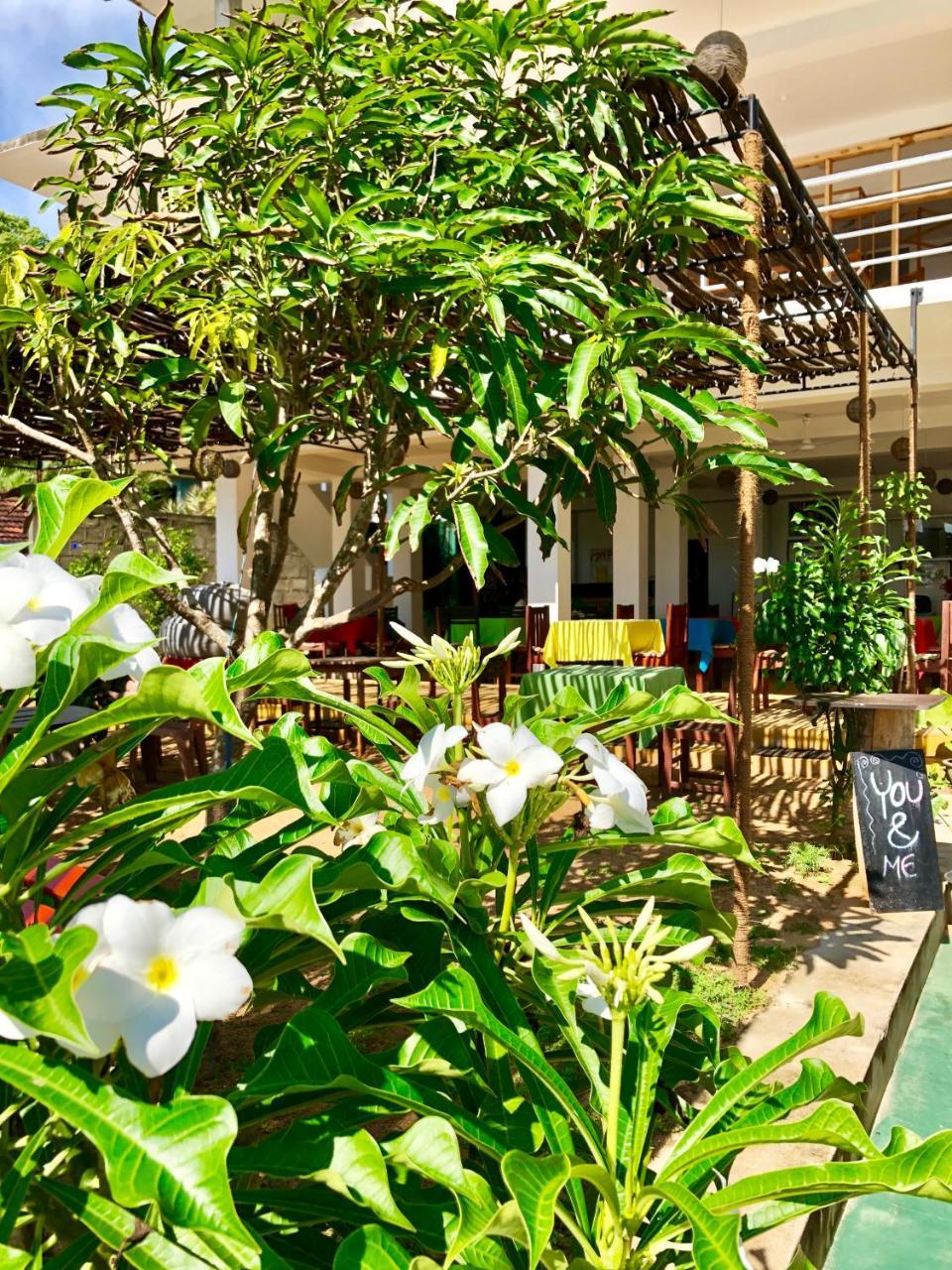 Coppenrath Hostel แทนกาลเล ภายนอก รูปภาพ